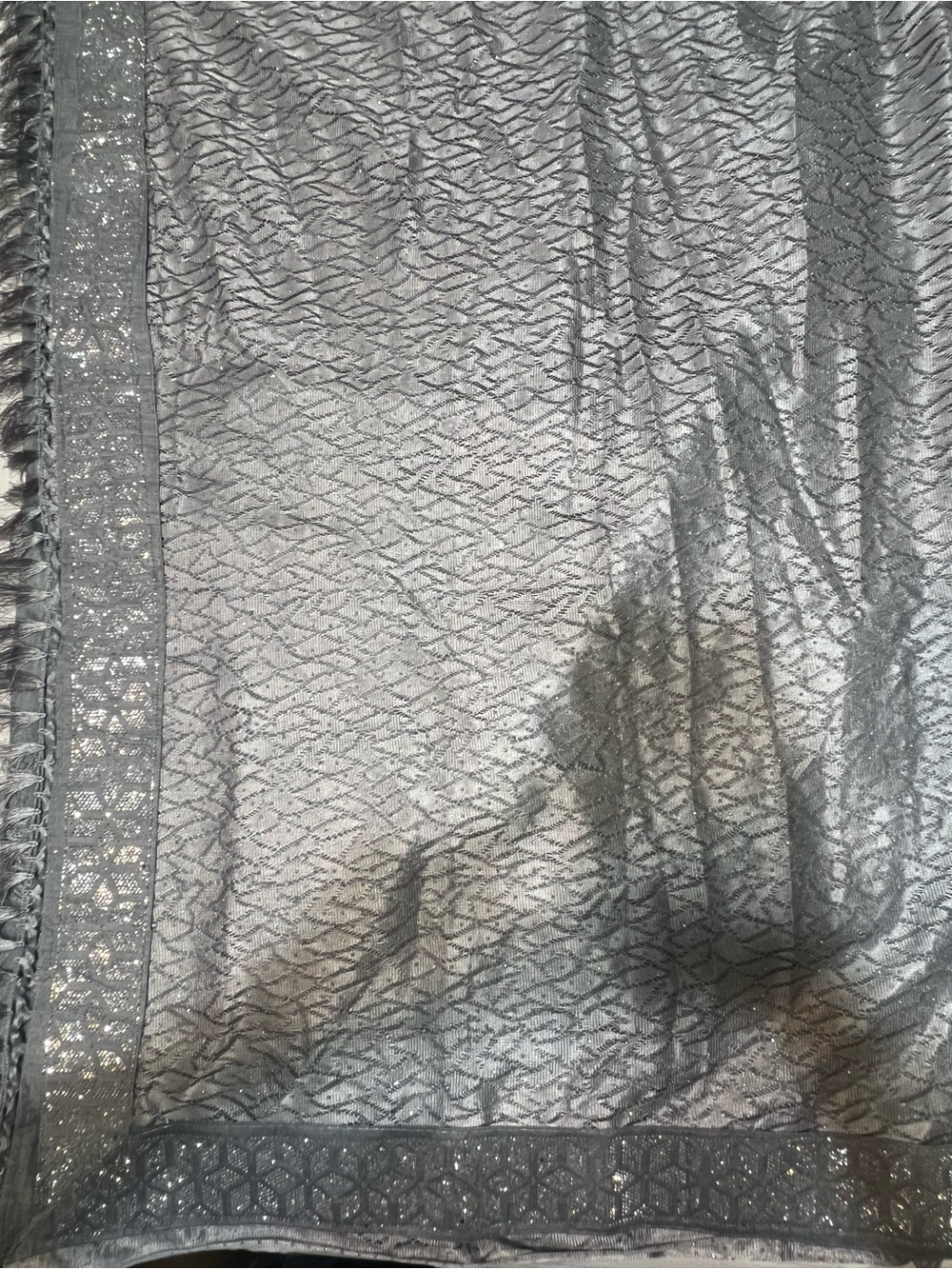 Metallic Silver Sheer Saree
